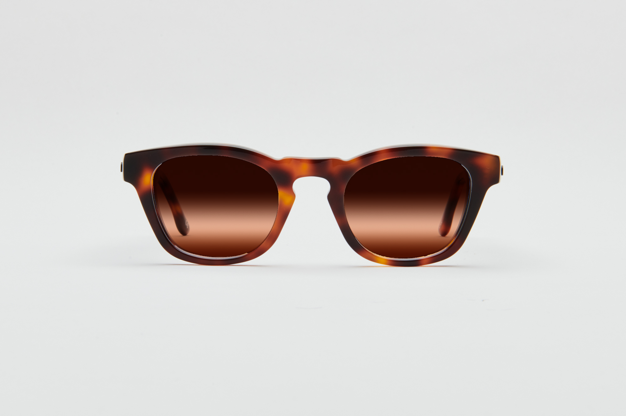 Bristol Sunglasses